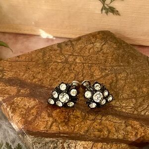 Elegant Black and Silver Crystal Earrings